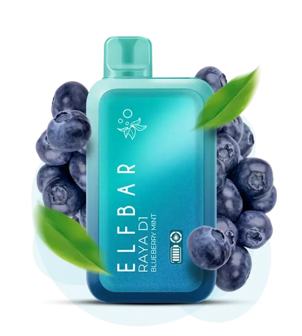 ELF BAR 13000 - Blueberry Mint (5% nic)