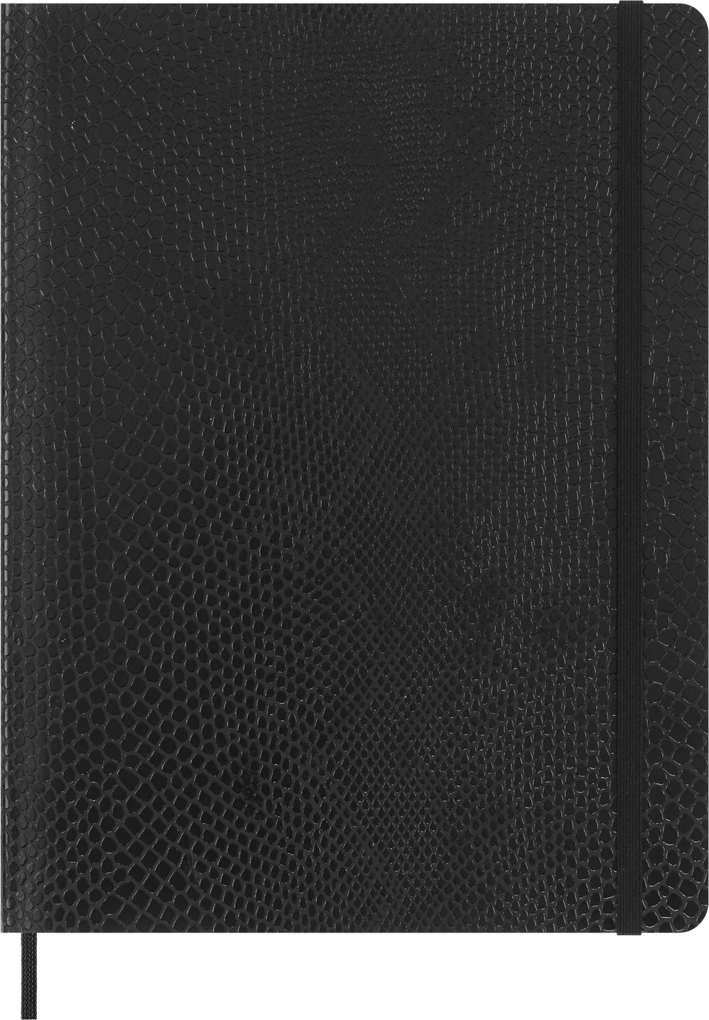 Набор Moleskine LE Precious & Ethical BOA блокнот 2шт/Перьевая ручка/папка-конверт XLarge черные (PRETQP621BOX)