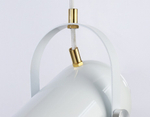 Подвесной светильник Ambrella Light TR TR8205