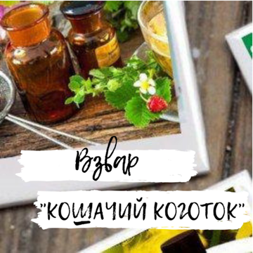 Повысить слабый иммунитет и выстроить надежный защитный барьер возможно при помощи безопасного и эффективного взвара «Кошачий коготок»