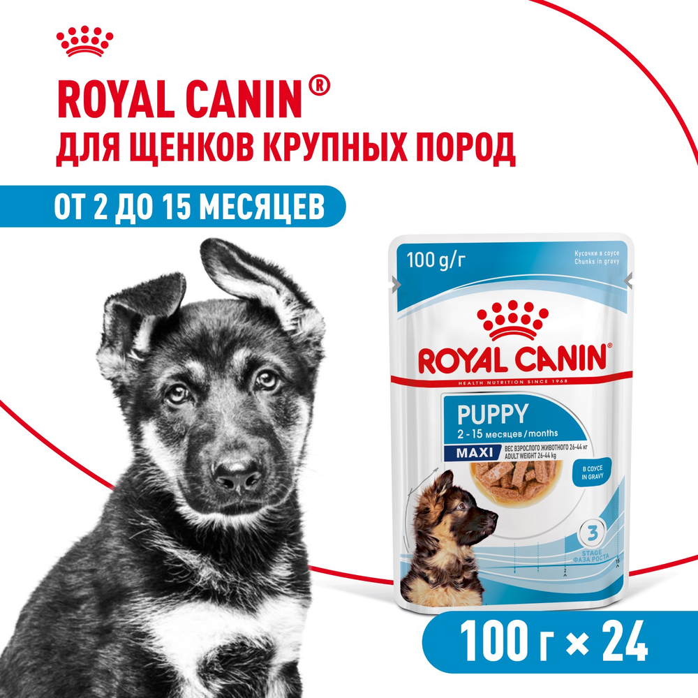 Royal Canin Maxi Puppy Макси Паппи Влажный корм для щенков крупных пород в возрасте до 15 месяцев 100г