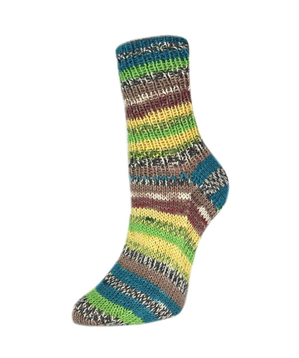 Пряжа Rellana Flotte Socke 4f. Roma (3225)
