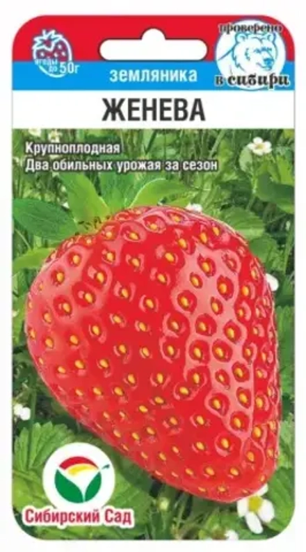 Земляника Женева 10шт (Сиб Сад)