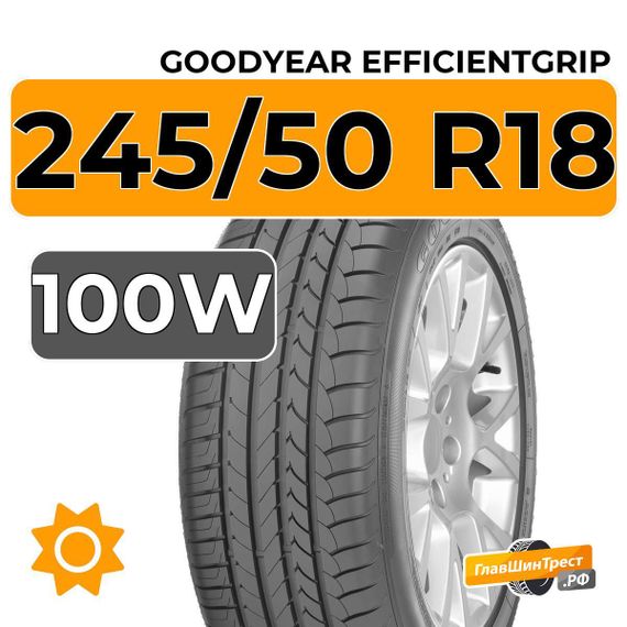 Goodyear EfficientGrip 245/50 R18 100W RunFlat