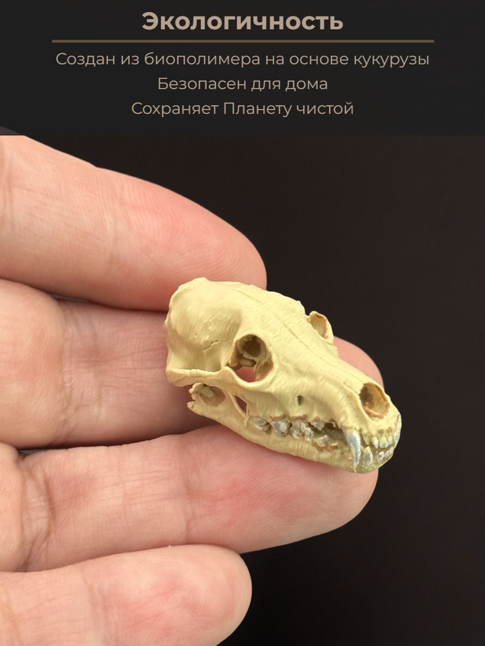 Череп барана миниатюра для декора, настольных игр, тематических предметов, фентези-атрибутов, диорам и инсталяций.