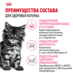 Royal Canin Maine Coon Kitten Киттен Мейн Кун Корм сухой для котят породы Мэйн Кун в возрасте от 4 до 15 месяцев 10кг
