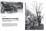 Цветоводство ЛЕТО 2025