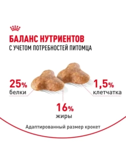 Pug Adult Корм для собак породы мопс 500г