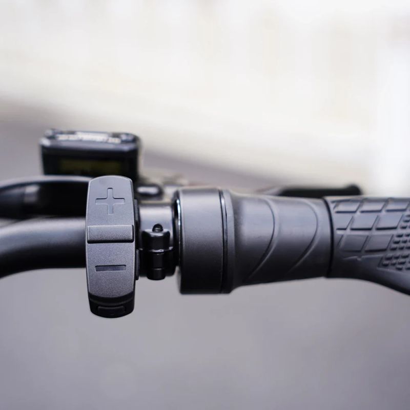 Электроскутер Mangosteen FT-02 60V1000W22.5A (В НАЛИЧИИ)