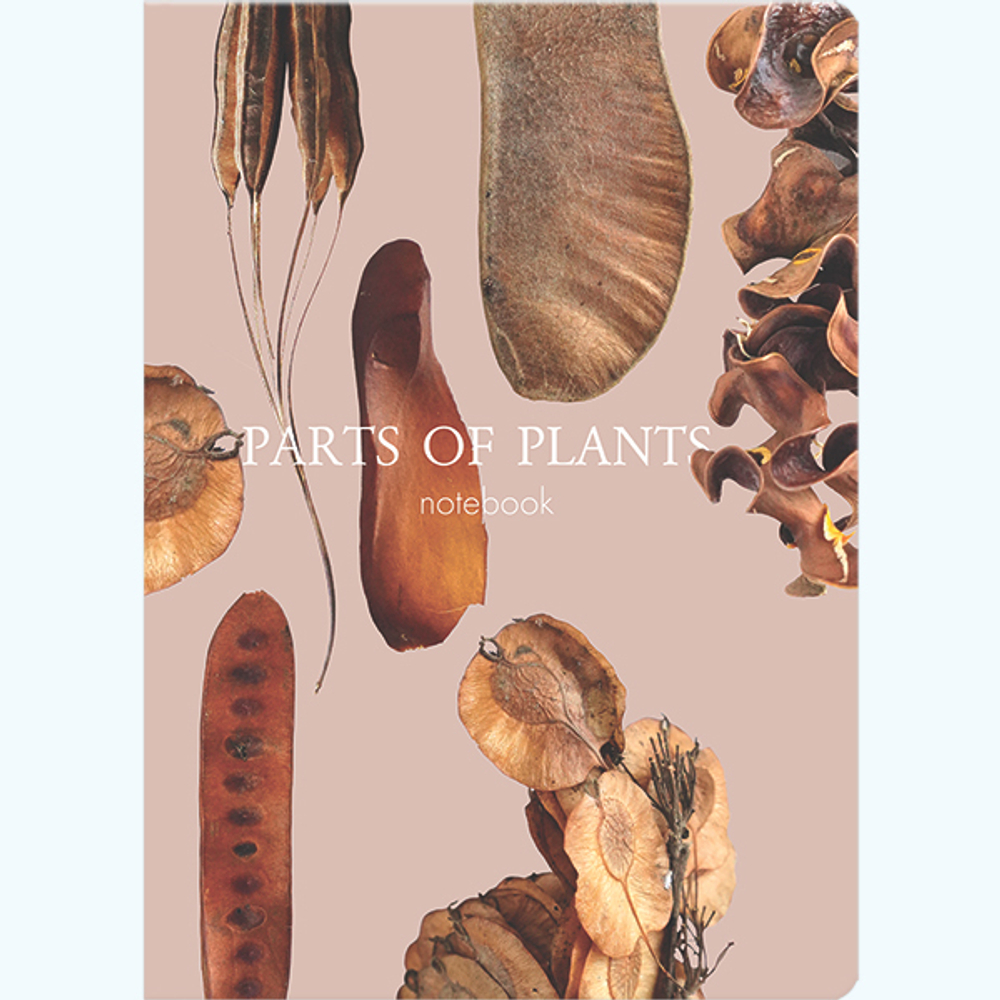 Блокнот "Parts of plants" А5 96 листов книжный переплет, сшивка