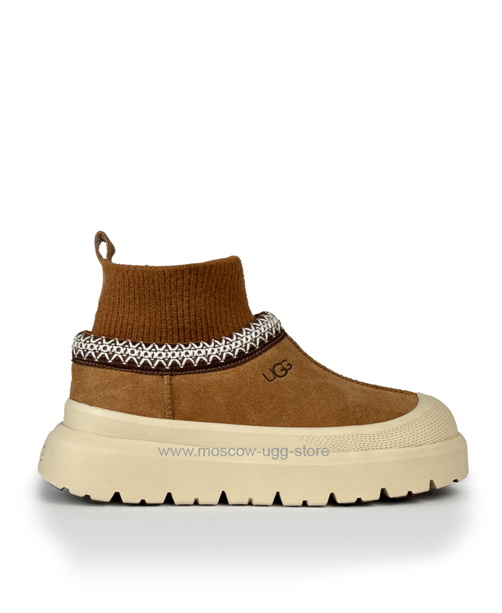 TAZZ KNIT HYBRID - Chestnut