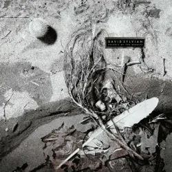Виниловая пластинка. David Sylvian – Secrets Of The Beehive