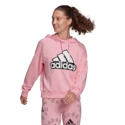 Толстовка женская ADIDAS W BLUV Q1 HD