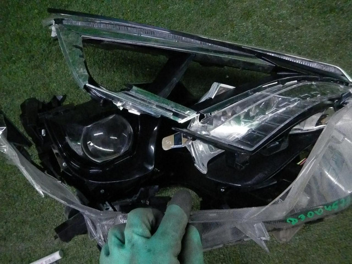 DSCN6385.JPG