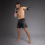 Шорты Venum Midnight Fury Black/Grey/Silver