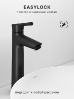 Смеситель для раковины Abelsberg Solida AMF20091MB высокий, вулканический черный