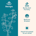 Organic India, бакопа, 60 вегетарианских капсул (350 мг в 1 капсуле)