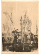 Почтовая карточка советская Ленинград. В парке Победы 1945 год, художник А.Ф. Пахомов, чистая, винтаж СССР 1949 год