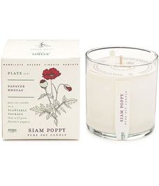 Siam Poppy, свеча The Seeds, Kobo Candles