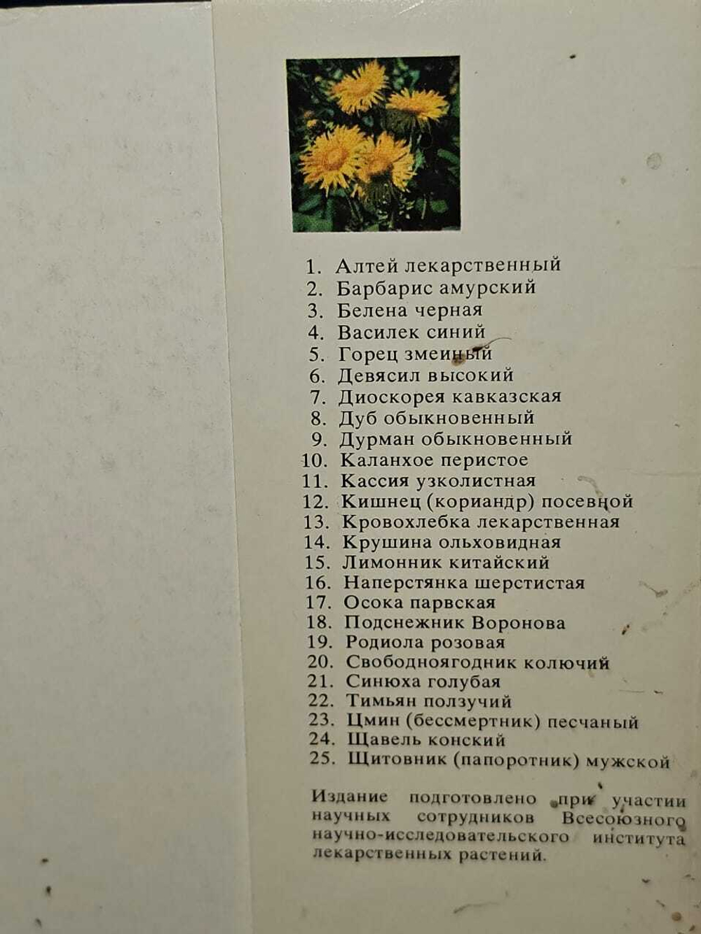 Набор открыток "Экскурсия в природу. Лекарственные растения. Выпуск III", 25 шт., 1978 г.