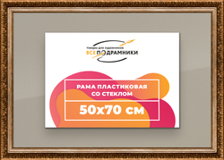 Рамка 50x65 для постера и фотографий