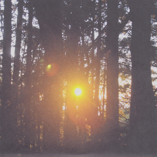 Xiu Xiu, Deerhoof - Almost Xiu Xiu, Almost Deerhoof - Orange 7''