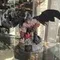 Devil Jin - Tekken 5
