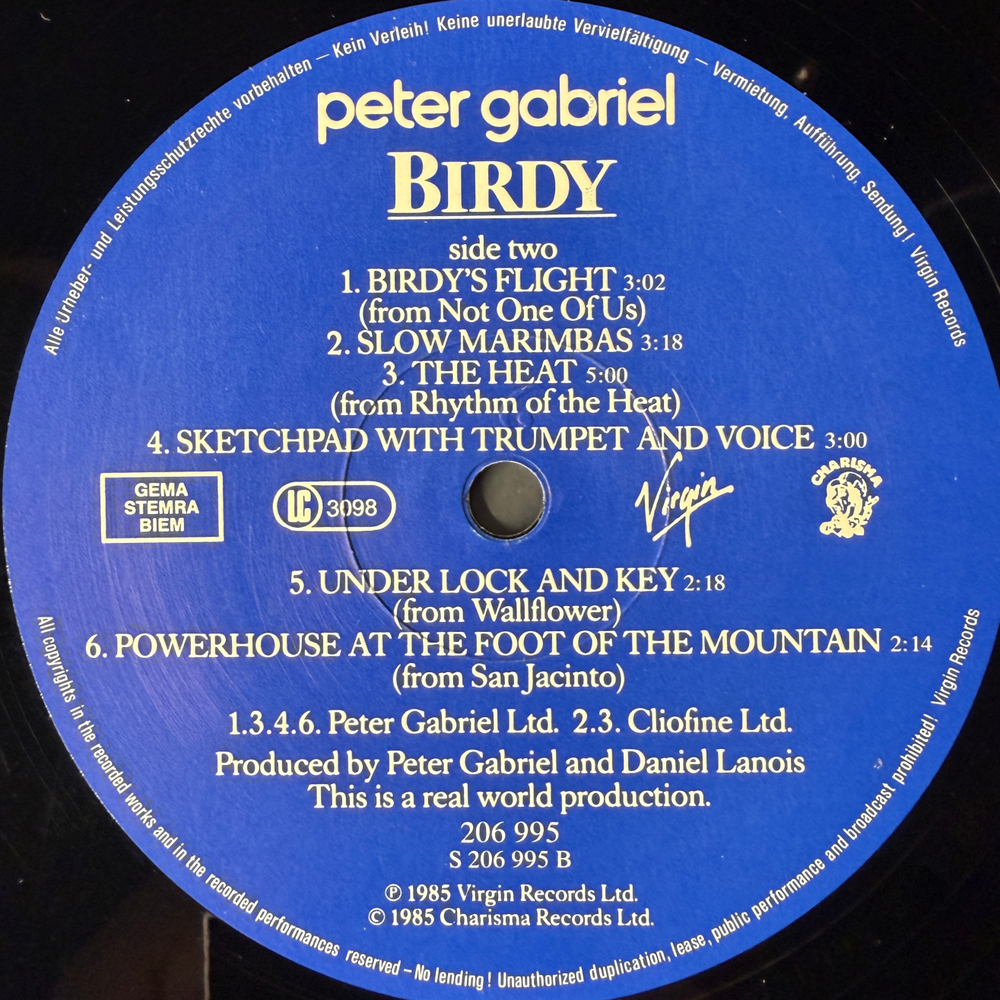 Виниловая пластинка Peter Gabriel - Birdy LP