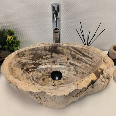 Раковина из окаменелого дерева Fossil Basin  57*35*15 см OD-02116