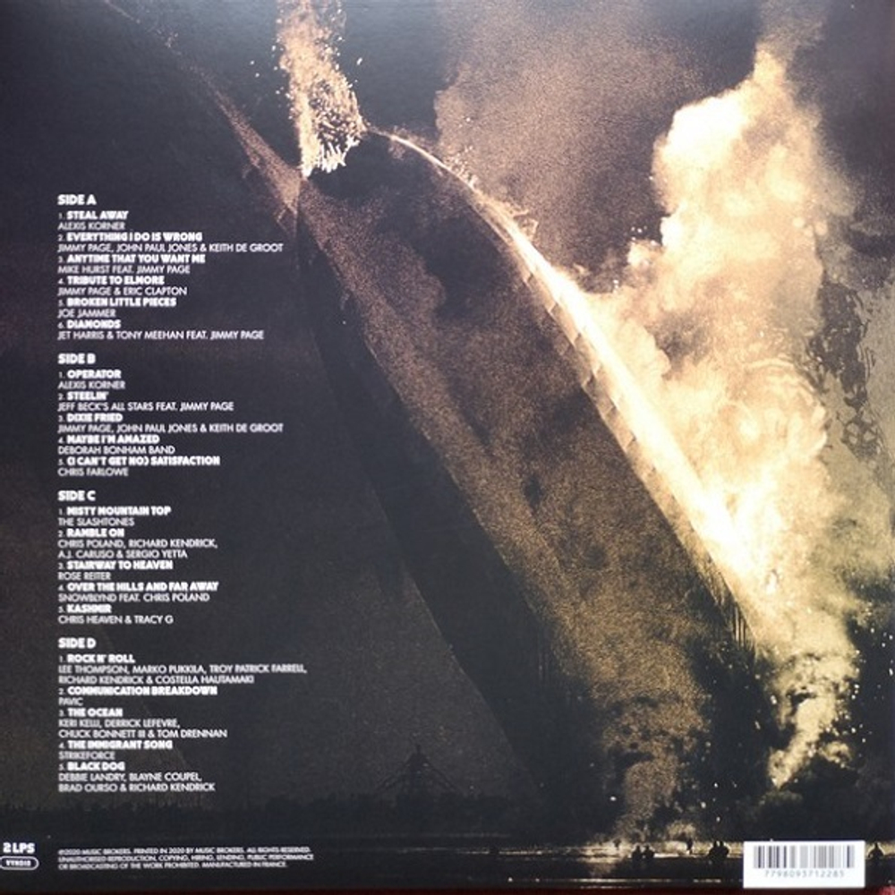 Various Artists / The Many Faces Of Led Zeppelin (A Journey Through The Inner World Of Led Zeppelin)(Limited Edition)(Coloured Vinyl)(2LP)