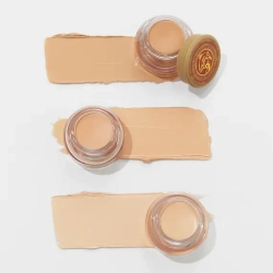 Skinfood Salmon Darkcircle Concealer Cream