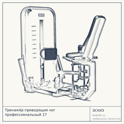 Тренажёр приводящие ног профессиональный 17 — от 136 000 ₽