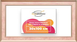 Рама 30x100 для картин и фотографий