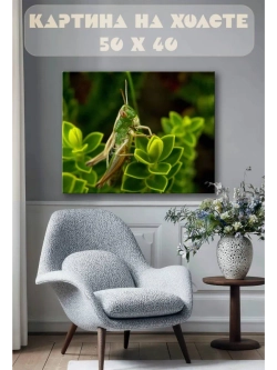 Картина на стену 40 X 50 Кузнечик