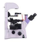 Микроскоп люминесцентный инвертированный MAGUS Lum V500L