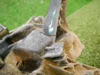 DSCN3915.jpg