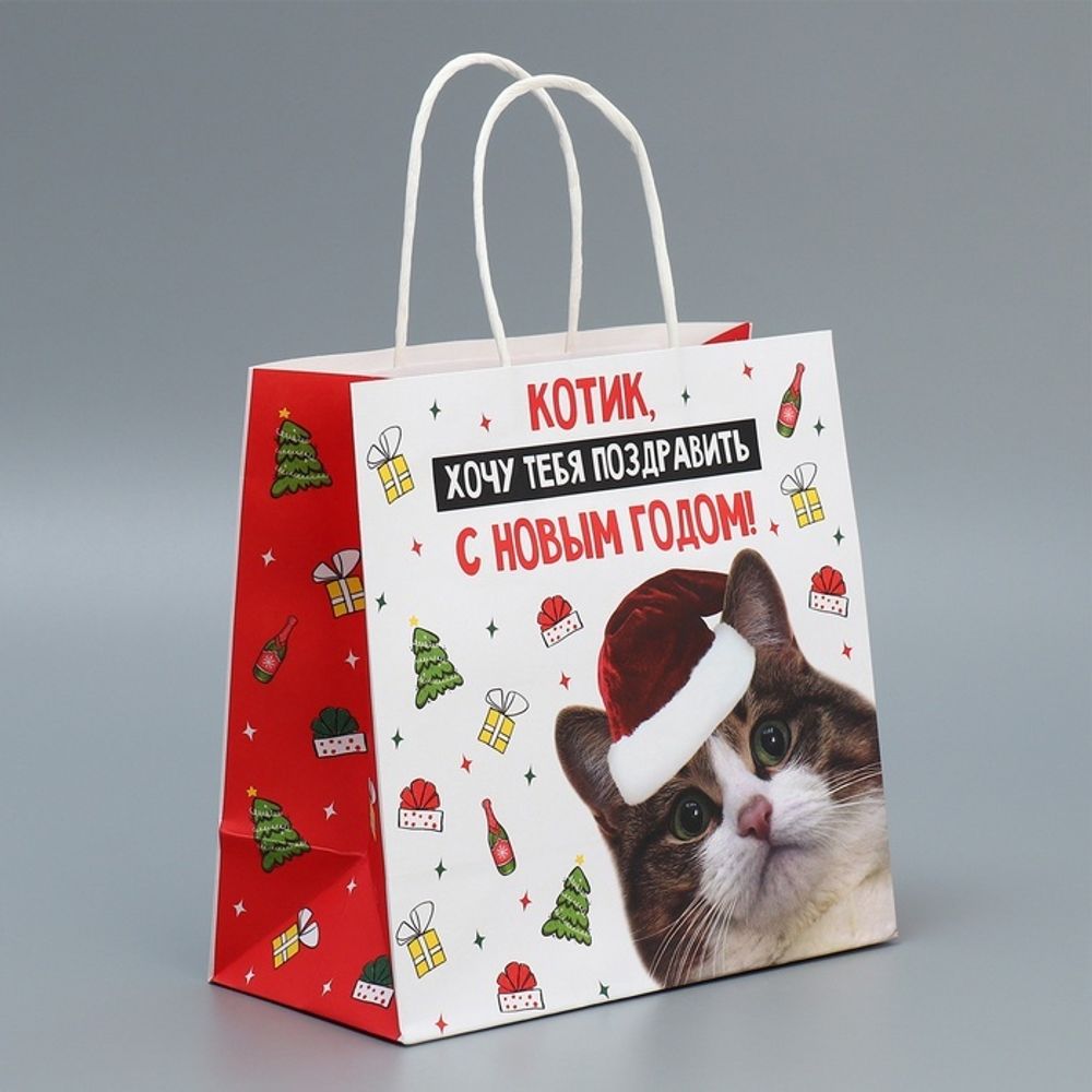 Пакет подарочный новогодний крафтовый «Котик», 22×22×11 см
