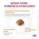 Royal Canin Urinary S/O Canine Уринари С/О канин Корм сухой диета для взрослых собак при мочекаменной болезни и цистите 2кг