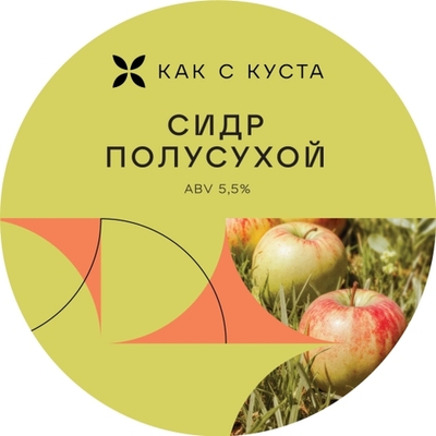 Сидр Как с куста Полусухой / Kak S Kusta Polusuhoj 20л - кег