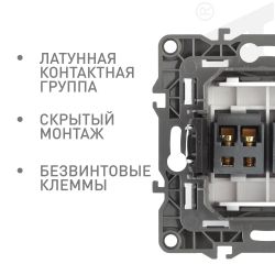 Розетка ЭРА Серия 12 12-3112-15 аудио двойная IP20 перламутр | Эра 12