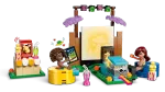 Конструктор LEGO Friends 42642 Вечер дружеских фильмов