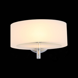 Светильник настенный Evoluce Foresta SL483.501.01