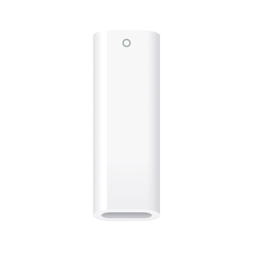 Стилус Apple Pencil (1-го поколения) с адаптером USB-C (MQLY3)