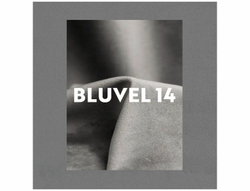 Стул SIGNAL ALAN Velvet Bluvel 14 серый/черный