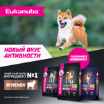 Сухой корм Eukanuba для взрослых собак мелких и средних пород старше 1 года с ягненком 800г