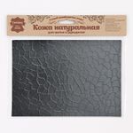 Кожа натуральная в листах фактурная А5 (21*14,8см) Крупный Крокодил, 100% кожа (01 черный) 7005