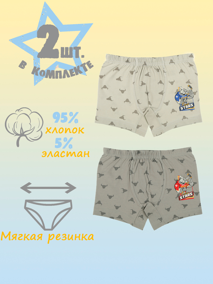 Боксеры для мальчика (2 штуки в упаковке)
