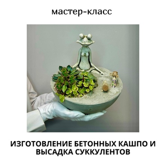🪨 Мастер-класс «Бетонное кашпо с суккулентами» — дизайн с нуля