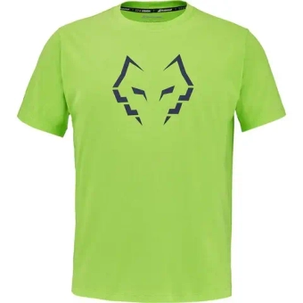 Мужская теннисная футболка Babolat Cotton J.Lebron - green flash