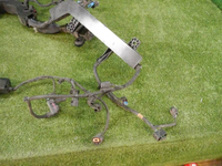 DSCN1998.jpg